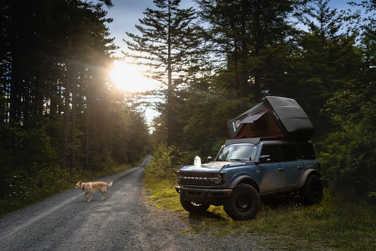 Beginner Overlanding Mods That Won’t Ruin Everyday Comfort